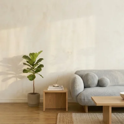 Living Room Category